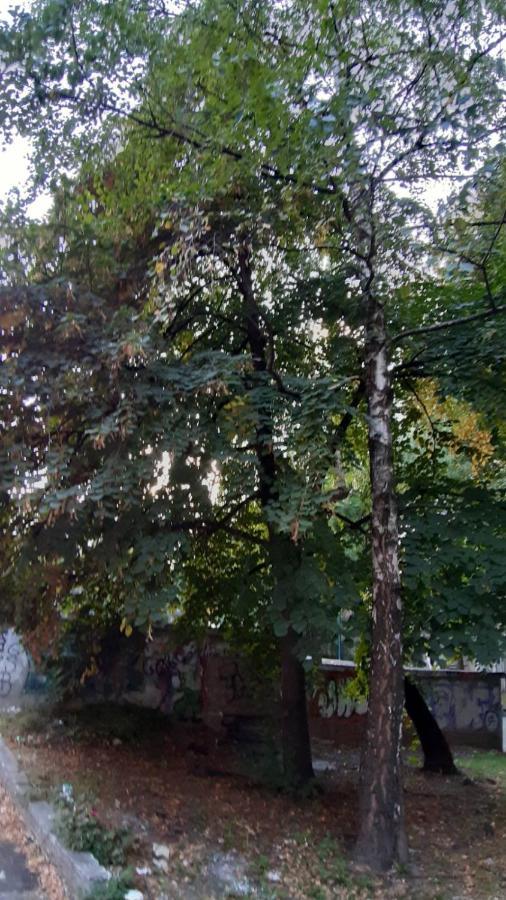 Illusion New Apartman Szarajevó Kültér fotó